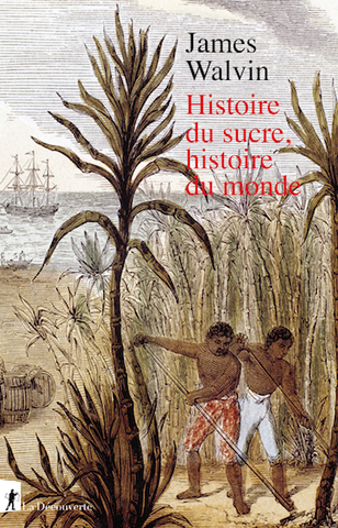 Suivre le sucre pour éclairer l'histoire du monde