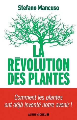 Étudier les plantes pour imaginer le futur de l'humain