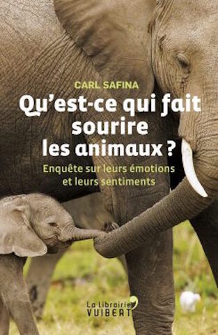 Joie, chagrin, colère, amour… les animaux ont eux aussi des émotions