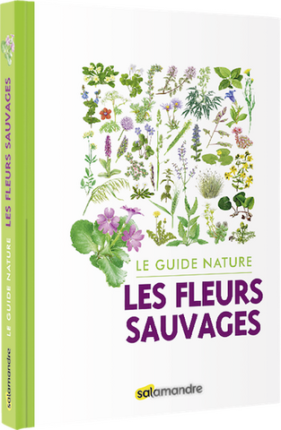Explorer l'univers des fleurs sauvages