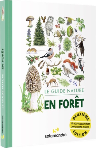 Tout savoir de la forêt en s'y promenant