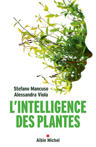Les plantes ont une personnalité et une vie sociale