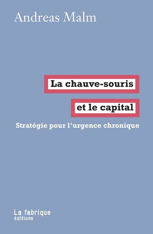 Le capital, dans sa quête de profit sans fin, produit le risque épidémique 