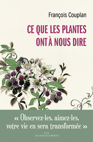 Guidés par un ethnobotaniste, partons dans un voyage millénaire avec les plantes