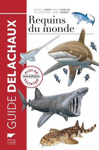 Un guide pour reconnaître près de 500 requins