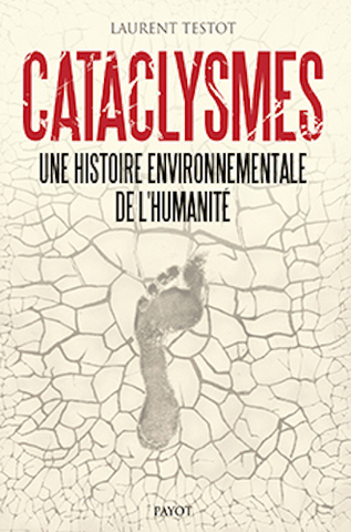 L'humanité : une épopée de trois millions d'années. Et maintenant<small class="fine d-inline"> </small>?