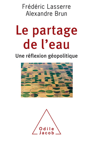 Géopolitique de l'eau