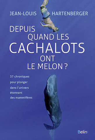 L'univers étonnant des mammifères de toutes sortes