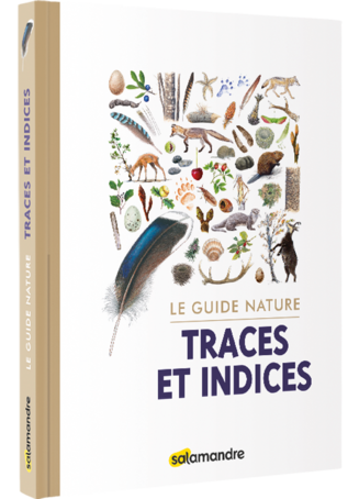 Un guide pour reconnaître les traces laissées par la faune