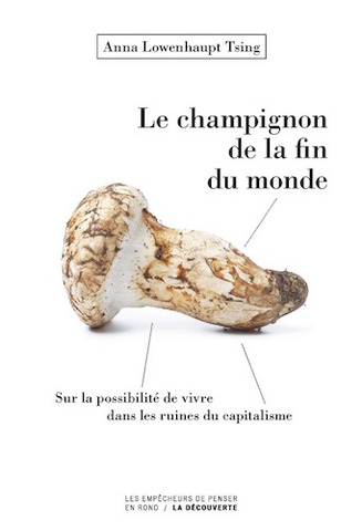 Dans les ruines du capitalisme se lève un nouveau monde