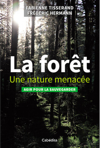 Plaidoyer pour une forêt support de vie
