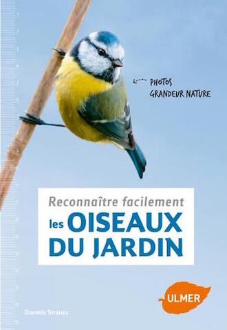 Reconnaître les oiseaux, du tout petit roitelet huppé au gros canard colvert
