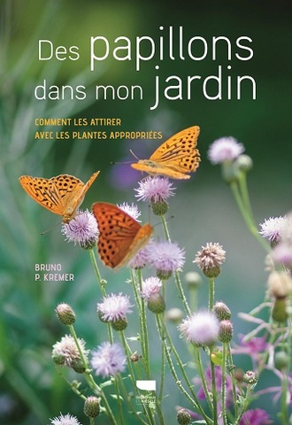 Quelles fleurs pour attirer les papillons dans son jardin<small class="fine d-inline"> </small>?