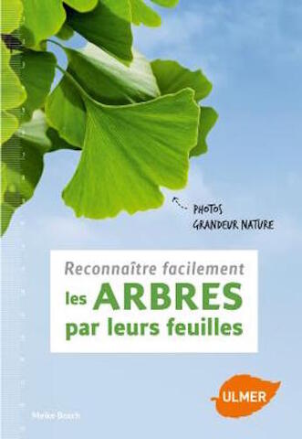 Reconnaître un arbre à ses feuilles