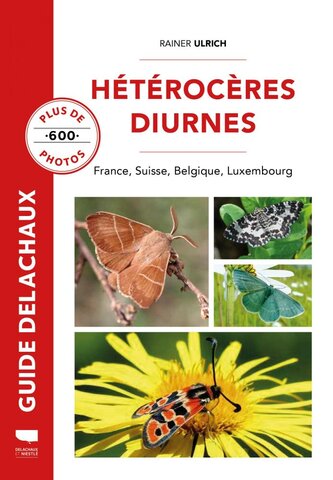 600 photos de papillons nocturnes 