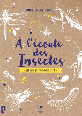 Changer notre regard sur les insectes