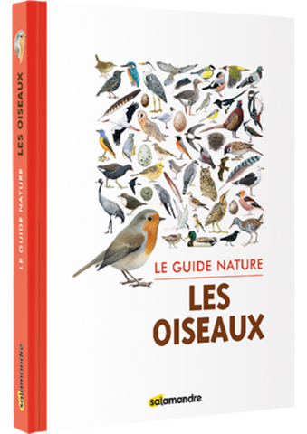 Faire connaissance avec les oiseaux qui volent, nichent ou migrent près de chez soi