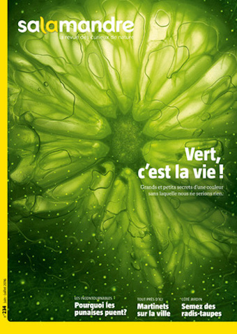 Du poison à la vie, une histoire de la couleur verte