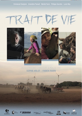 A la télé ce soir - Le retour en grâce de la traction animale