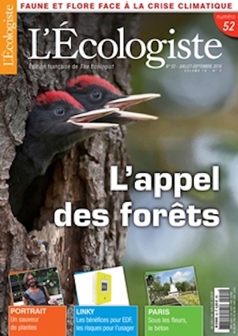 La forêt face aux crises