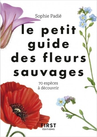 À la découverte des fleurs du bord du chemin