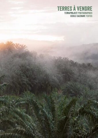 L'accaparement des terres agricoles, néocolonialisme ou chance pour le développement<small class="fine d-inline"> </small>?