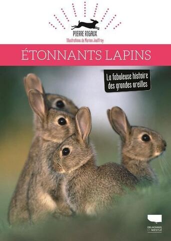 Un portrait des lapins illustré avec humour