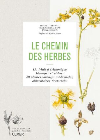 Florilège des plantes amies du Midi de la France