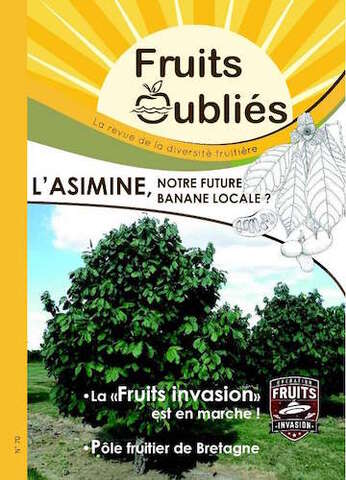 L'asiminier deviendra-t-il le bananier local<small class="fine d-inline"> </small>? 