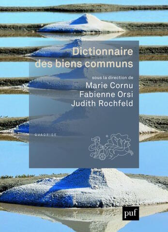 Un formidable panorama des biens communs