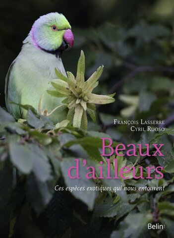 Beaux d'ailleurs, chroniques de l'exotique devenu familier