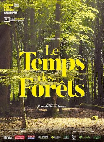 <span class="caps">AU</span> <span class="caps">CINEMA</span> - La forêt, de l'industrialisation aux alternatives 