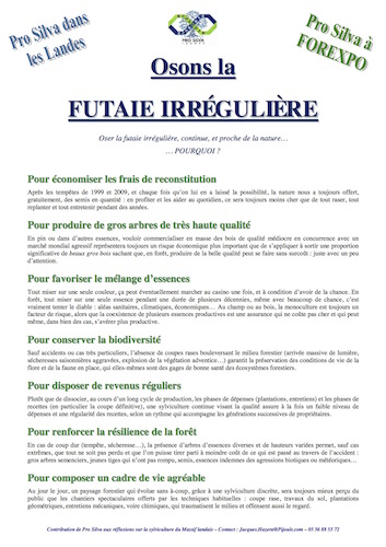 Sortie forestière à la découverte de la sylviculture naturelle, à Hostens (Gironde)