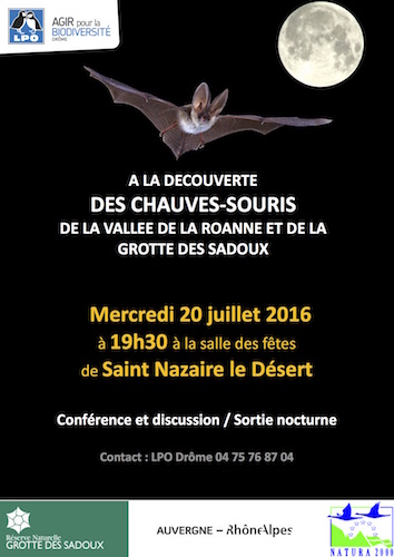 À la découverte des chauves-souris à Saint-Nazaire-le-Désert (Drôme)