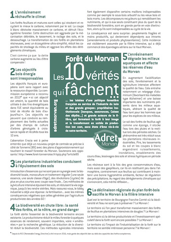 Déambulation revendicative, poétique et graphique pour préserver la biodiversité et les forêts de feuillus, à Quarré-les-Tombes (Yonne) 