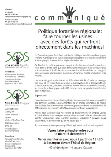 Manifestation contre l'industrialisation de la forêt, à Besançon (Doubs)