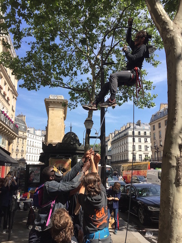Des militants dans les arbres en soutien aux opposants à Cigéo
