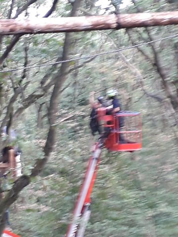 Hambach : un mort lors de l'évacuation de la forêt