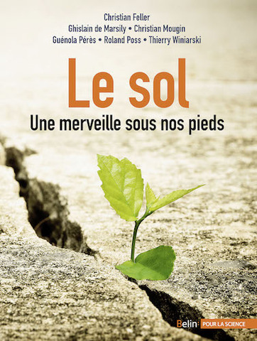 Le sol, cette merveille méconnue