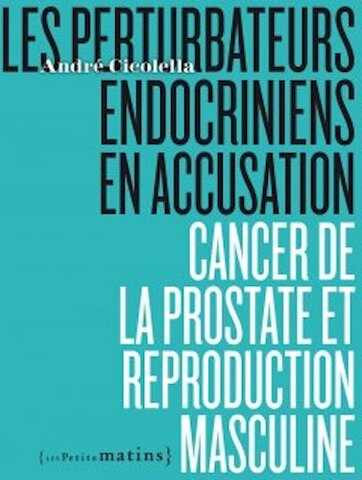 Cancer de la prostate : l'étau se resserre autour des perturbateurs endocriniens 