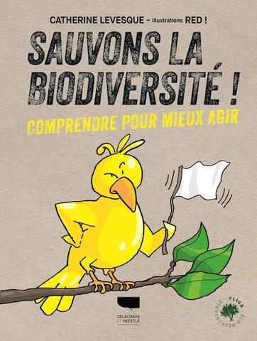 Les gestes quotidiens pour préserver la biodiversité 
