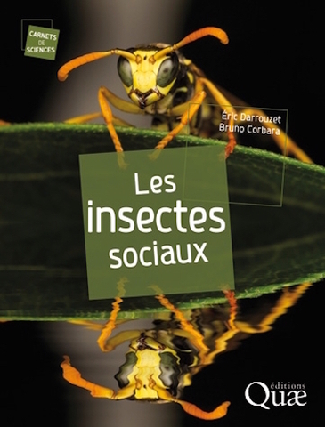Les mœurs des insectes sociaux