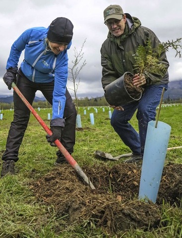 L'Irlande plante un million d'arbres en une journée