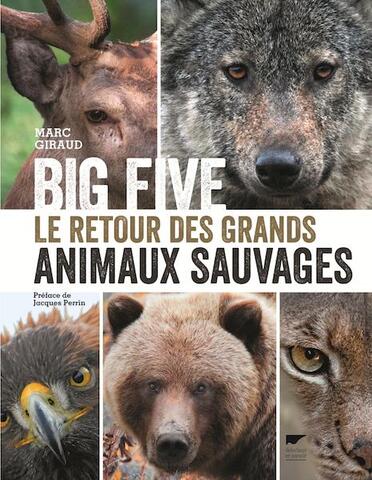L'épopée du retour du sauvage en France 