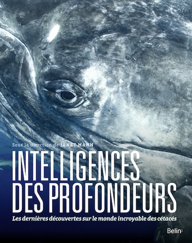 Le monde incroyable des cétacés