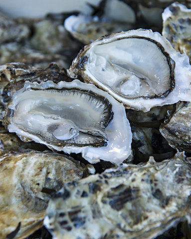 Les huîtres sont-elles vraiment naturelles<small class="fine d-inline"> </small>? Quatre questions, quatre réponses