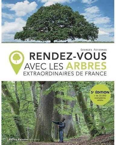 Invitation à voyager au pied des arbres