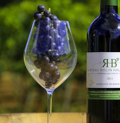 Les vins bio contiennent beaucoup moins de résidus de pesticides que les autres