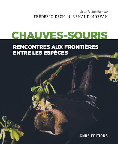 Les chauves-souris et les humains, des relations essentielles et complexes