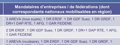 Débat sur l'énergie : les nucléaristes représentent plus de la moitié des délégués du patronat 